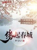 《缘起春城》小说封面