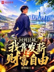 《回到县城,我靠发薪财富自由》小说封面