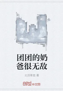 《团团的奶爸很无敌》小说封面