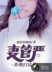 《妻管严：拒绝白富美》小说封面