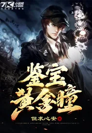 《鉴宝黄金瞳》小说封面