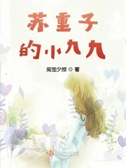 《苏重子的小九九》小说封面