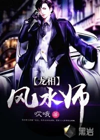 《龙相风水师》小说封面