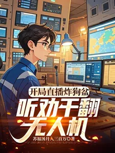 《开局直播炸狗盆,听劝干翻无人机》小说封面