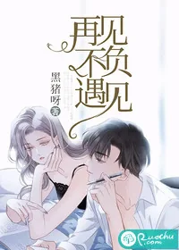 《再见不负遇见》小说封面