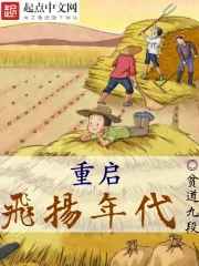 《重启飞扬年代》小说封面