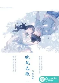 《晚风已微》小说封面