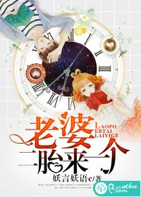 《老婆，二胎来一个》小说封面