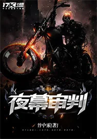 《夜幕审判》小说封面