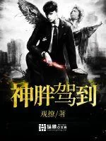 《神胖驾到》小说封面