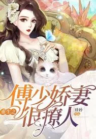 《重生之傅少娇妻很撩人》小说封面