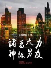 《诸葛大力神级男友》小说封面