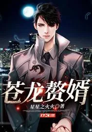 《苍龙赘婿》小说封面