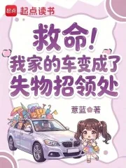 《救命！我家的车变成了失物招领处》小说封面