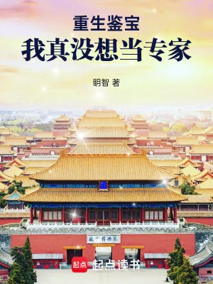 《重生鉴宝:我真没想当专家》小说封面