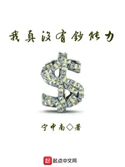 《我真没有钞能力》小说封面