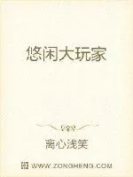 《悠闲大玩家》小说封面