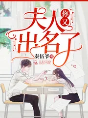 《夫人你又出名了》小说封面