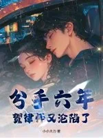 《分手六年，贺律师又沦陷了》小说封面